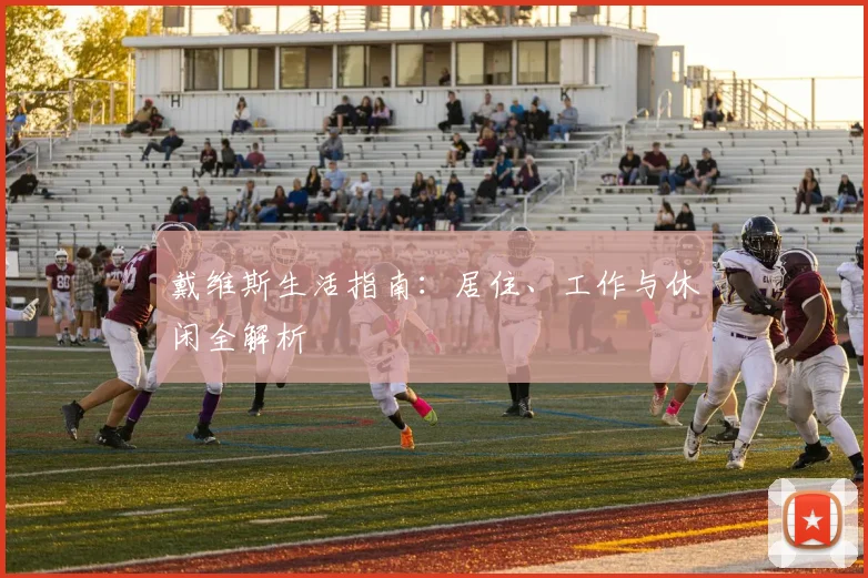 戴维斯生活指南：居住、工作与休闲全解析