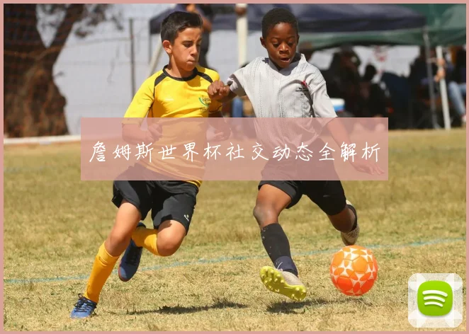 詹姆斯世界杯社交动态全解析